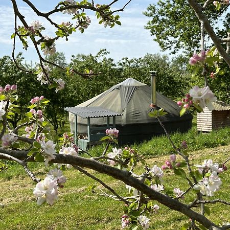 Dragon Orchard Retreat Vila Ledbury Exterior foto