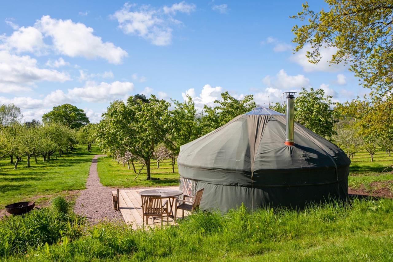 Dragon Orchard Retreat Vila Ledbury Exterior foto