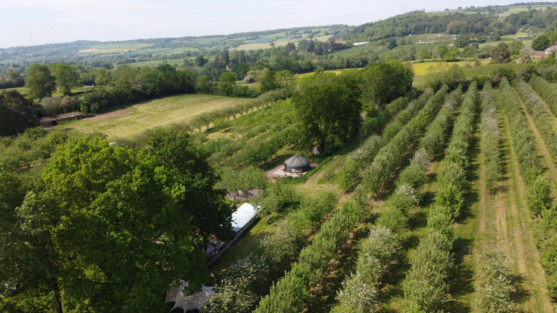 Dragon Orchard Retreat Vila Ledbury Exterior foto